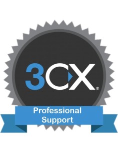 CorpVoIP Professional Support