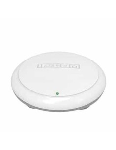 N300 High Power Access Point