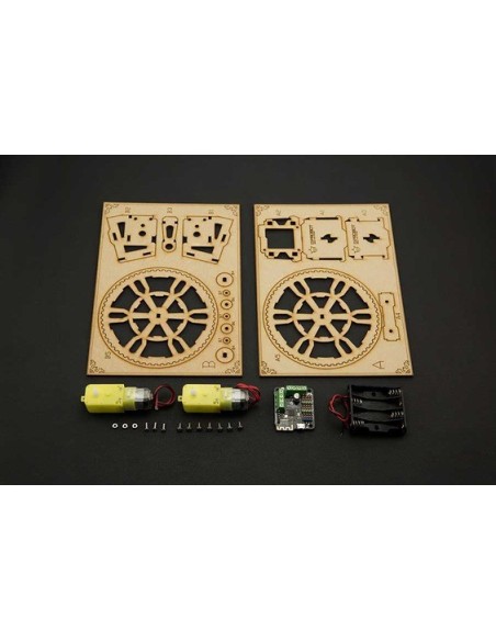 The Flamewheel - A 2WD Remote Control Robot