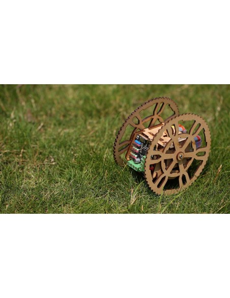 The Flamewheel - A 2WD Remote Control Robot. End Product Picture.
