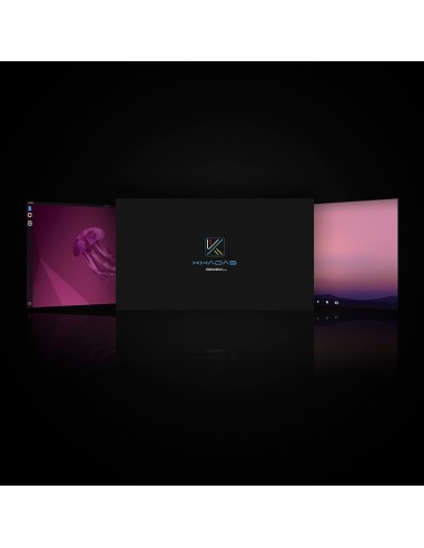 VIM1S