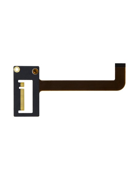 T2V Extension