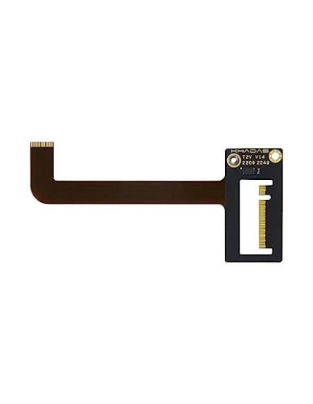 T2V Extension