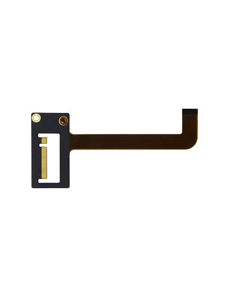T2V Extension