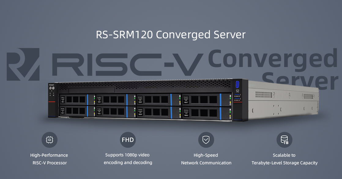 RS-SRA120 RISC-V computing cloud storage