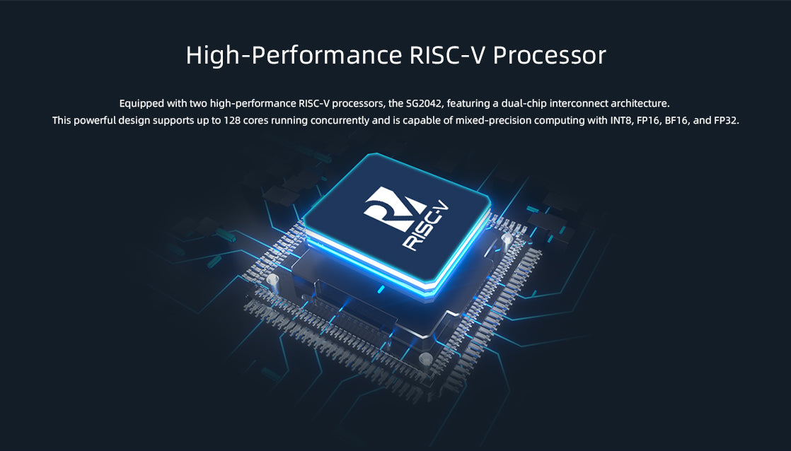  RS-SRA120 RISC-V computing cloud storage
