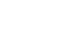 CorpShadow Bizstore